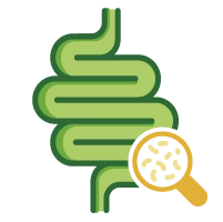 Illustration for Balances the Gut Microbiome