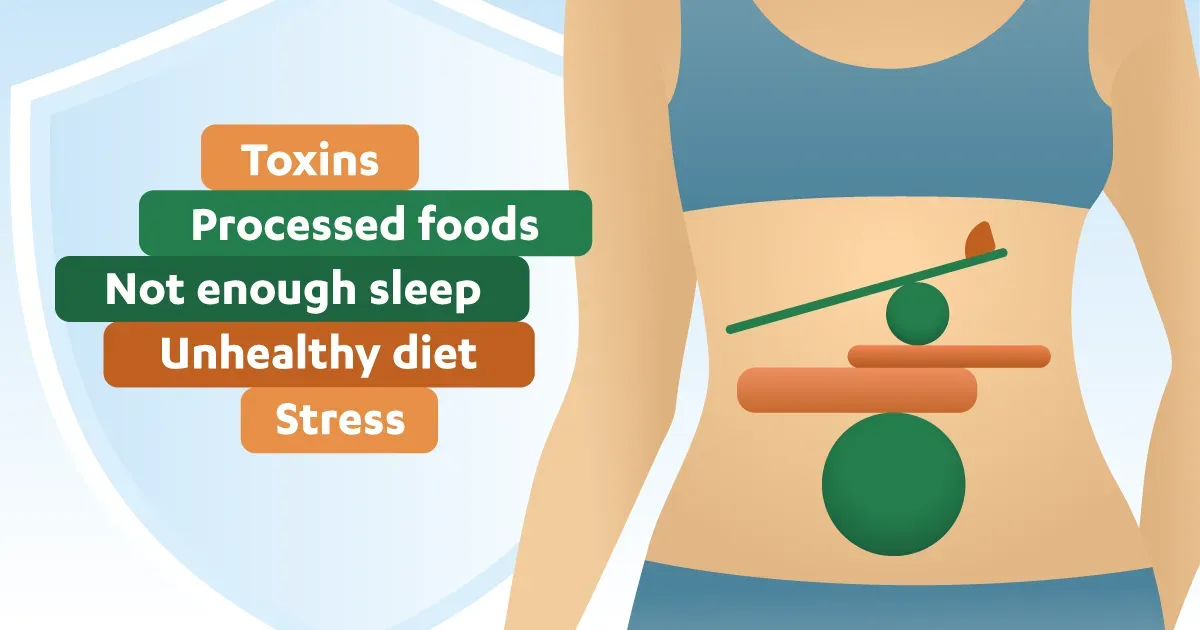 Everything You Need to Know About Gut Cleanses Everything You Need to Know About Gut Cleanses
